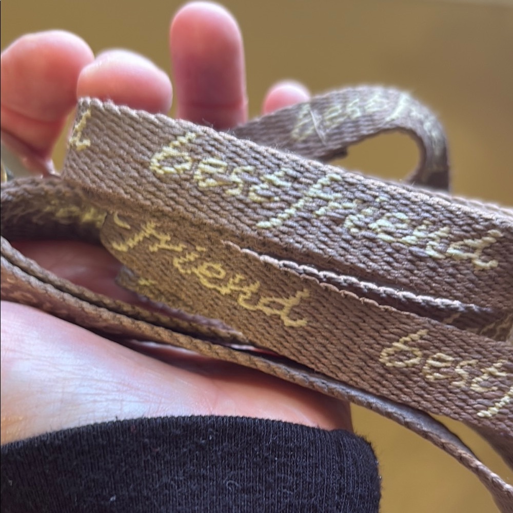 ❤️3/$15❤️ “Best Friend” dog leash - Picture 2 of 3